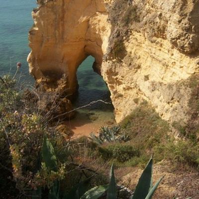 竞猜足球appapp下载截图