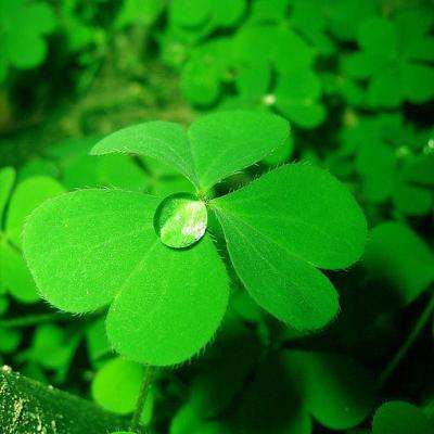 半岛官方下载入口